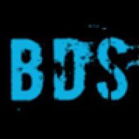 BDS Round 3 2013 - Innerleithen